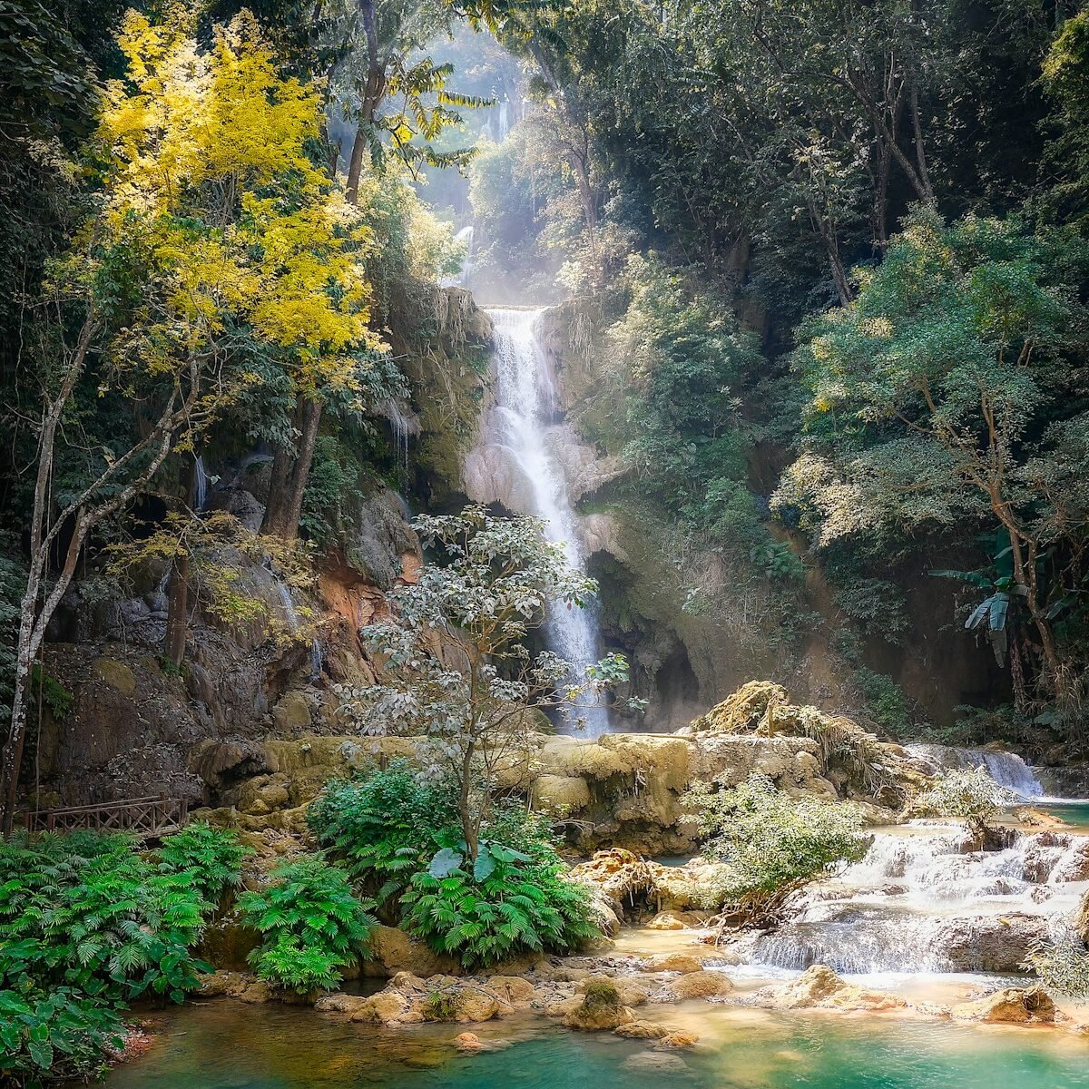 waterfalls and trees