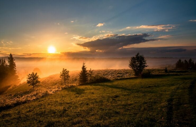 trees under cloudy sky during sunset